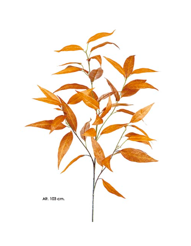 RAMA EUCALIPTO CAMALUDENSIS