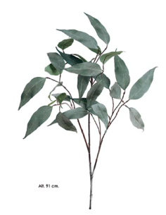 RAMA EUCALIPTO VERDE