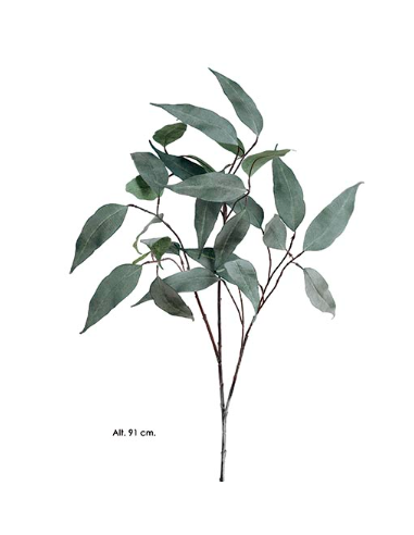 RAMA EUCALIPTO VERDE