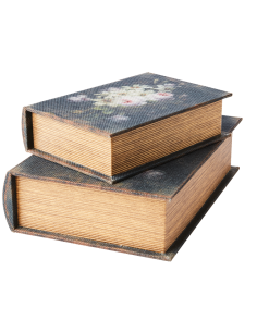 SET 2 CAJAS BROOKE NEGRO