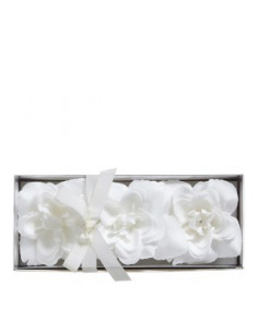 COFRET HOJAS DE JABON... 2