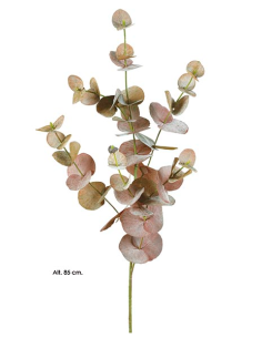 RAMA EUCALYPTUS OTOÑO