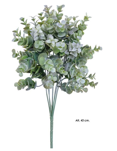 RAMA ARBUSTO EUCALYPTHUS