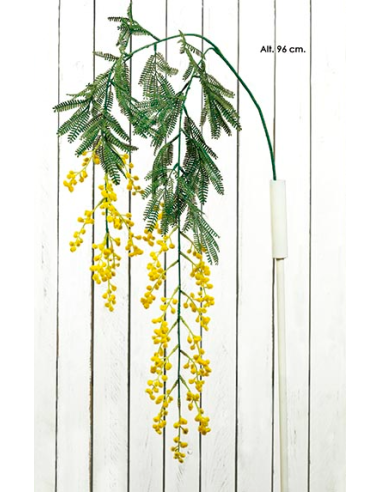 PLANTA COLGANTE MIMOSA