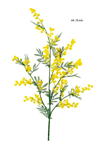 RAMA MIMOSA 75 CM