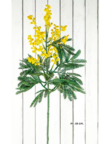 RAMA MIMOSA 66 CM