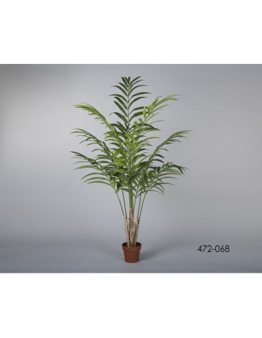 PLANTA KENTYA 196CM