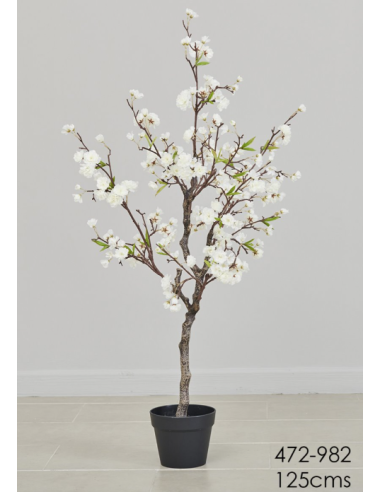 PLANTA CEREZO 125CMS