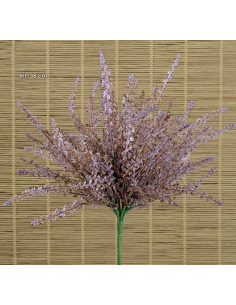 ARBUSTO AROMATICO MALVA