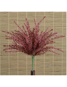 ARBUSTO AROMATICO BURDEOS