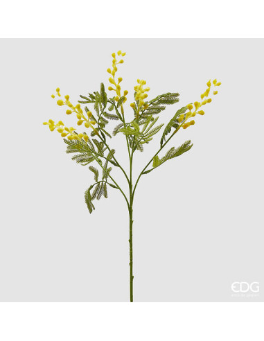 RAMA MIMOSA 50 CM