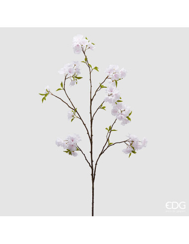 RAMA SAKURA CON HOJAS