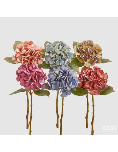 HORTENSIA DRY VARIOS COLORES