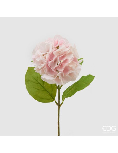 HORTENSIA REAL ROSA PALIDO