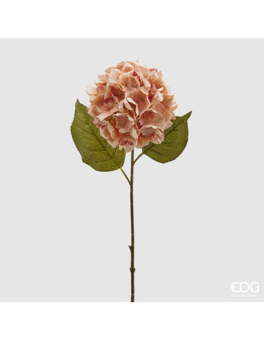 HORTENSIA EPOQUE MELOCOTON