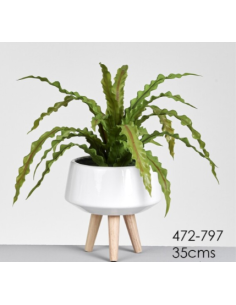 MACETA HELECHO 35 CM