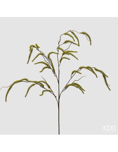 RAMA DE SALICE 114CM