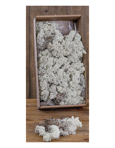 MUSGO FINLAND NATURAL