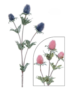 VERONICA MALVA 59 CM