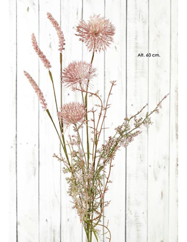 RAMA ALLIUM VAINAS MALVA