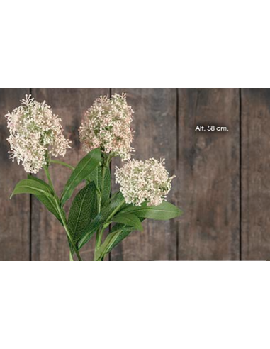 RAMA SKIMMIA ROSA CLARO