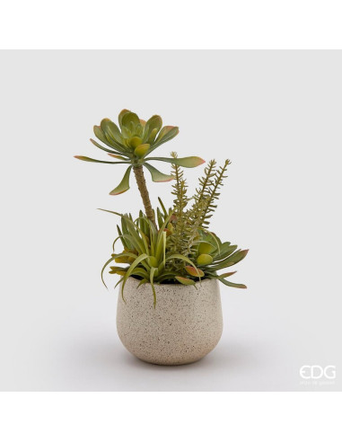 SUCULENTA EN MACETA 30CM