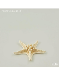 ESTRELLA DE MAR DECORATIVA