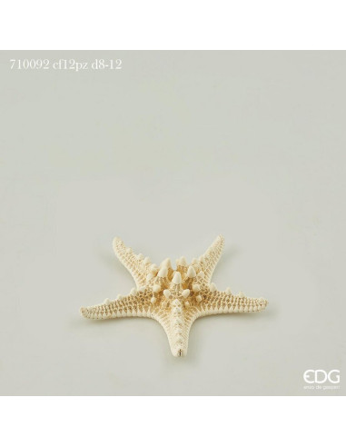 ESTRELLA DE MAR DECORATIVA