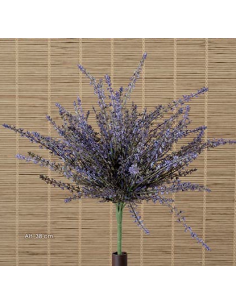 ARBUSTO AROMATICO CON...