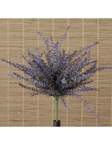 ARBUSTO AROMATICO CON SEMILLAS VIOLETA