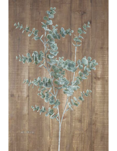 RAMA EUCALYPTUS VERDE GRIS...