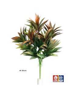 ARBUSTO DRACAENA NATURAL
