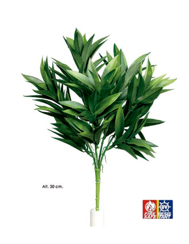 ARBUSTO DRACAENA VERDE
