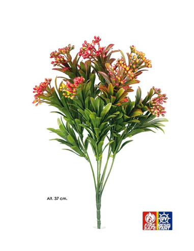 ARBUSTO CON SEMILLAS NARANJA