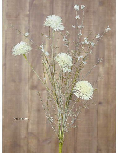 RAMILLETE ALLIUM CREMA