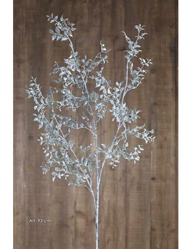 RAMA SMILAX VERDE GRISACEA