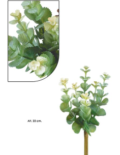 SUCULENTA PICK VERDE