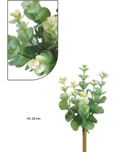 SUCULENTA PICK VERDE