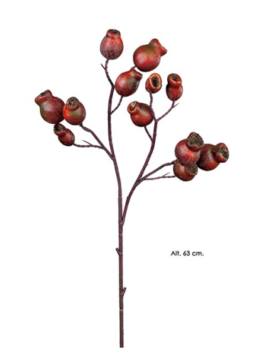 RAMA CON SEMILLAS OTOÑO