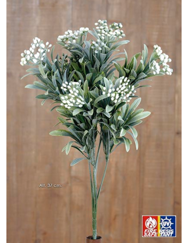 ARBUSTO CON SEMILLAS GRIS