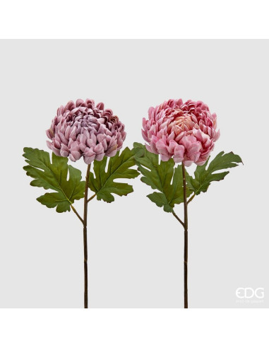 FLOR CRISANTEMO GLORY ROSADA