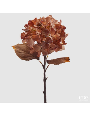FLOR ORTENSIA OLIS ÓXIDO