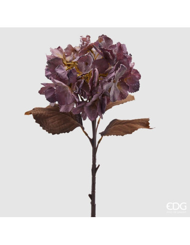 FLOR ORTENSIA OLIS MORADO