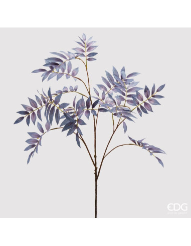 RAMA SAMBUCO GLORY AZUL