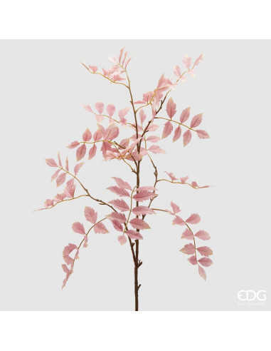 RAMA SOMMACO AMERICANO MALVA