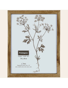 MARCO FOTOS COLOR ROBLE