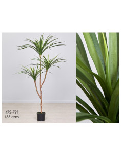 PLANTA AGAVE 80x160 CM