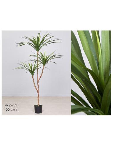 PLANTA AGAVE 80x160 CM