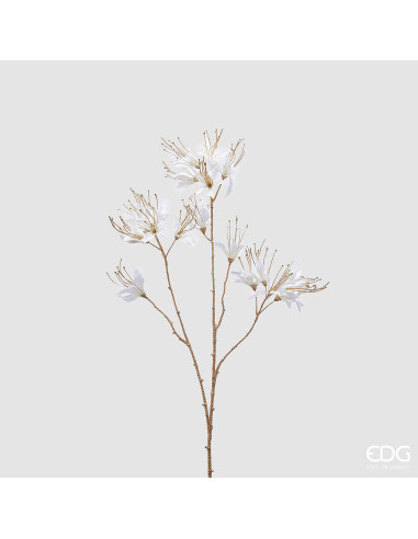 RAMA NERINA BLANCA 75CM