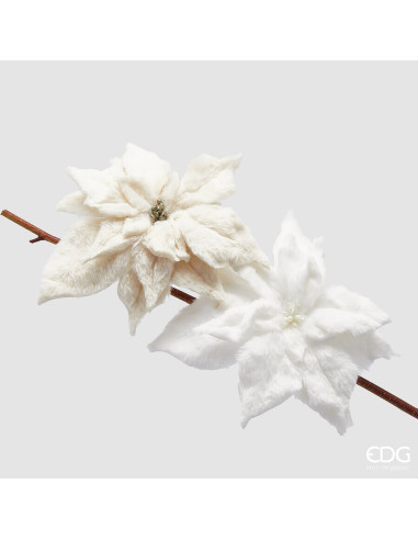 POINSETTIA CON PIEL Ø25